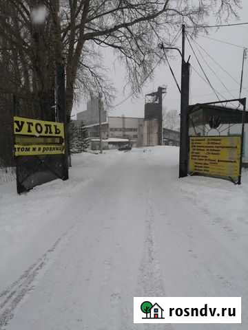 Каменный уголь Горный - изображение 1