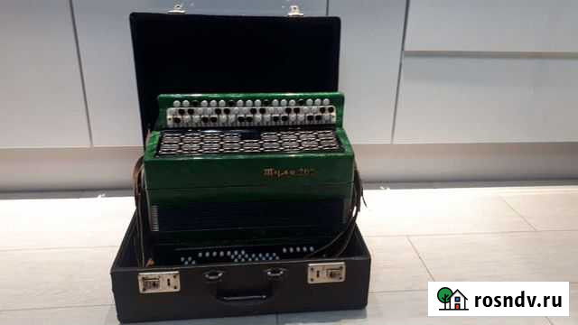 Баян Тула 202 Михайловка - изображение 1