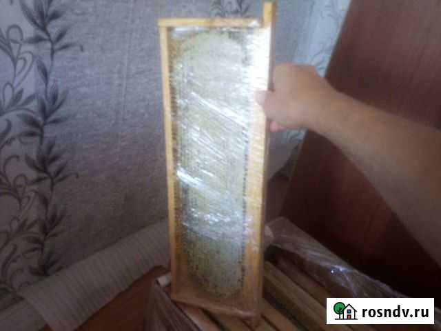 Соты медовые Новокузнецк - изображение 1