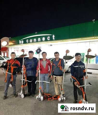 Расчистка участка, демонтаж, корчевание, спил Химки - изображение 1