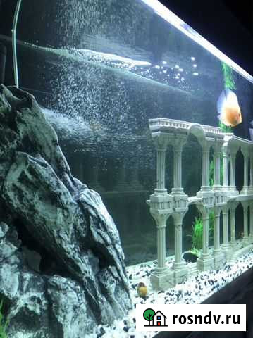 Аквариум 300л Анапа - изображение 1