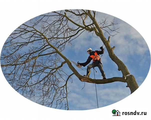 Спил деревьев Муром - изображение 1