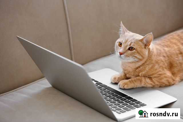 Компьютерный мастер на дом Соликамск - изображение 1