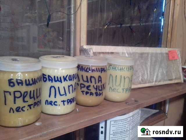 Мёд и перга для вашего здоровья Нежинка - изображение 1