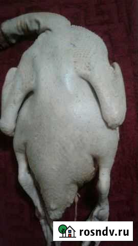 Мясо индаутка кролик курица индюка Биробиджан - изображение 1