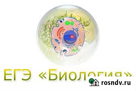 Репетитор по биологии Выльгорт - изображение 1