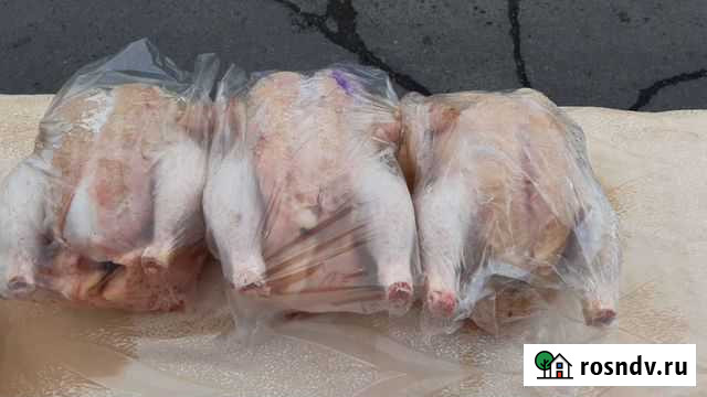 Куры бройлеры мясо Оренбург - изображение 1