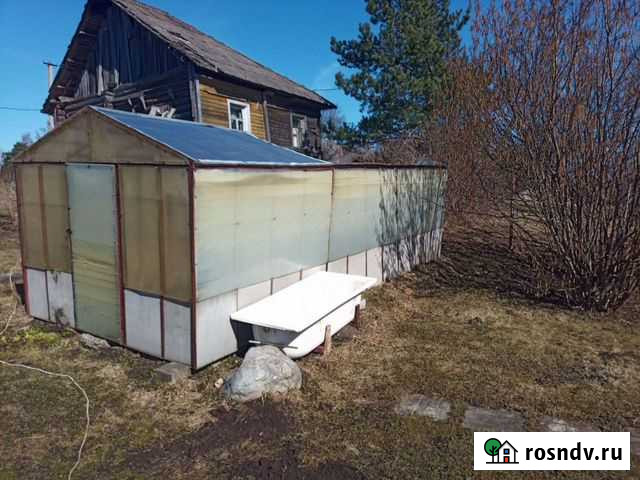 Теплица бу Устье - изображение 1