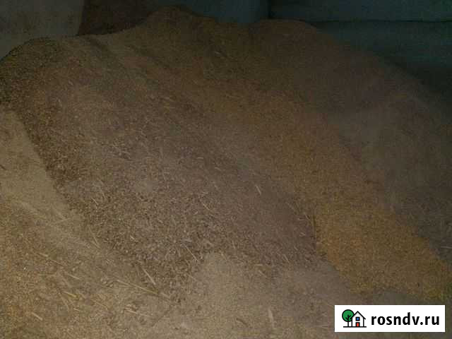 Кукуруза отходы Отрадо-Кубанское - изображение 1