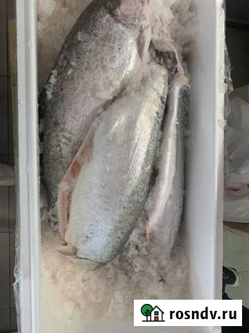 Форель Домодедово - изображение 1