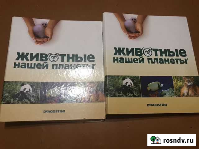 Животные нашей планеты Барнаул - изображение 1