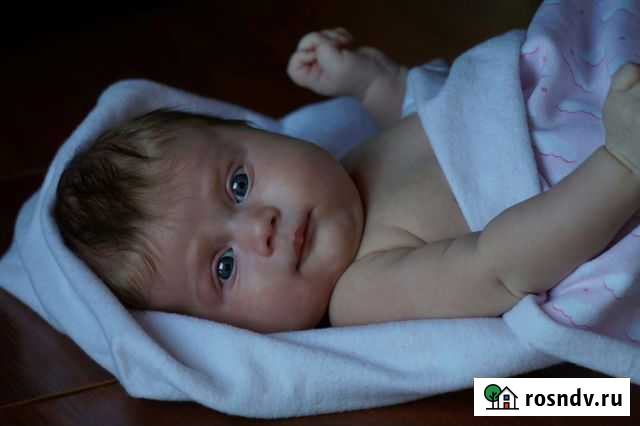 Видео в подарок Фотограф, видеограф на свадьбу Нижний Новгород - изображение 1