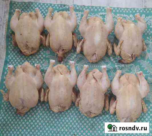 Мясо домашнего бройлера Вязьма