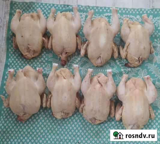 Мясо домашнего бройлера Вязьма - изображение 1