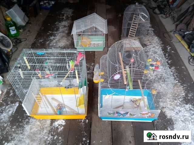 Клетки для попугая б.у Домодедово - изображение 1