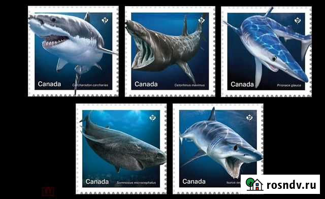 2018 Канада. Фауна. Акулы. Марки (самокл.) Протвино - изображение 1