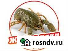 Живые раки Опт/розница Евпатория - изображение 1