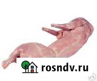 Мясо кролика Рязань - изображение 1