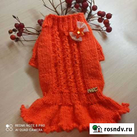 Вязаная одежда для маленьких собак Таганрог - изображение 1