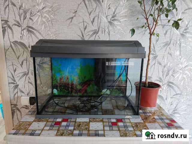Аквариум Кызыл - изображение 1
