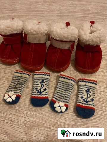 Для собаки зимнте ботинки +носочки Серпухов - изображение 1