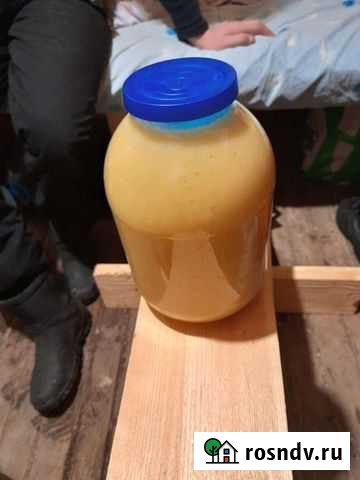 Мед (разнотравье), липовый Солнечногорск - изображение 1