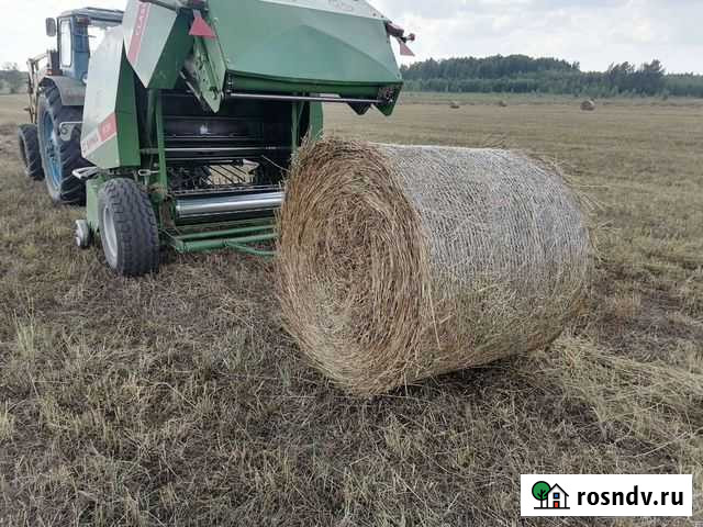 Сено 2й сорт Лух - изображение 1