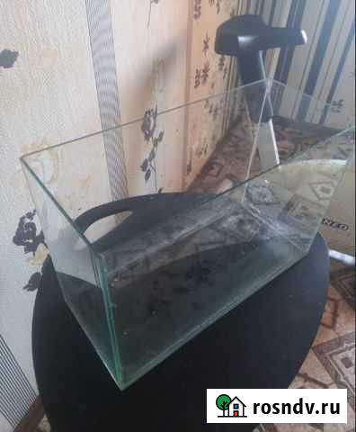 Аквариум Норильск - изображение 1