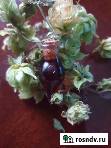 Ведьмин бутыль Петропавловск-Камчатский - изображение 1