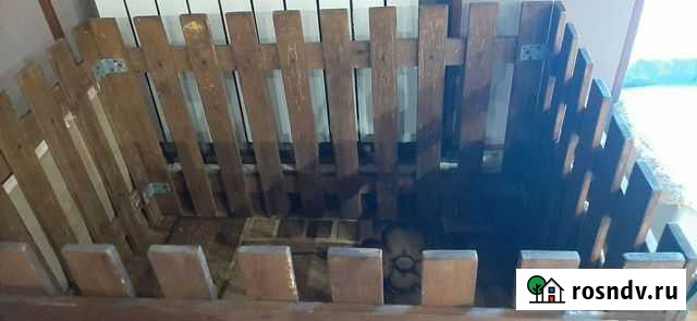 Вольер для собак Курган - изображение 1