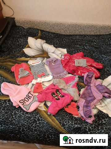 Одежда на маленькую собачку Тверь - изображение 1