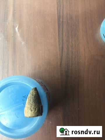 Пуля кавказкой войны Майкоп - изображение 1