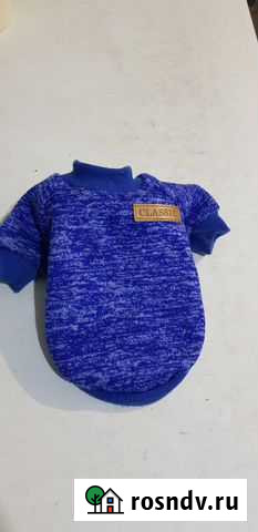 Толстовка для собаки Чебоксары - изображение 1