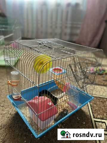 Клетки для грызунов Белый Яр - изображение 1