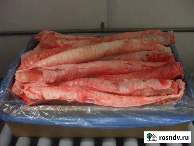 Трахея говяжья Тольятти - изображение 1