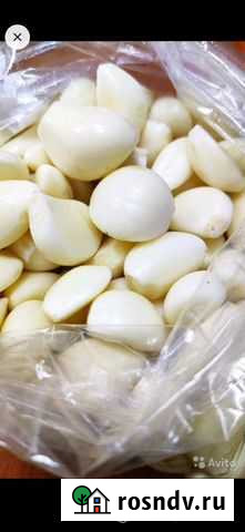 Чеснок очищенный свежий Копейск - изображение 1