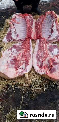 Мясо свинина домашняя Курск - изображение 1