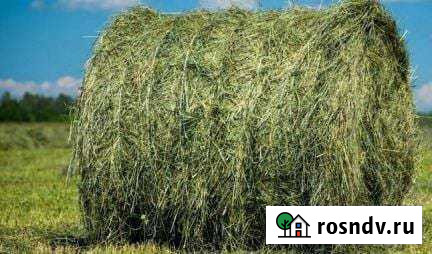 Сено в тюках Усть-Катав - изображение 1