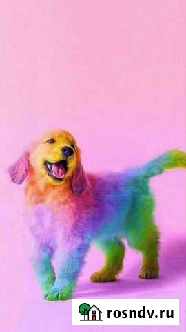 Помощь Магнитогорск - изображение 1