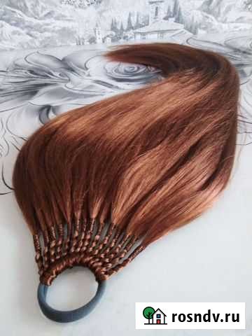 Афрохвост Ульяновск - изображение 1