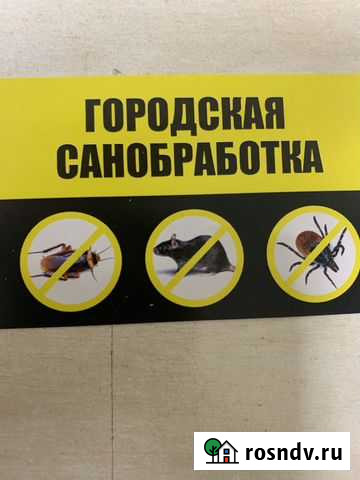 Дезинсекция. Дератизация от всех видов насекомых Иваново - изображение 1