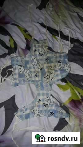 Папона для кошки или маленькой собачки #48 Люберцы - изображение 1