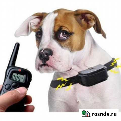 Электронные ошейники, антилай для собак 2-100 кг Биробиджан - изображение 1