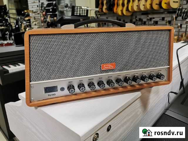 Soundking TG10D Комбоусилитель гитарный, 20Вт Новосибирск - изображение 1