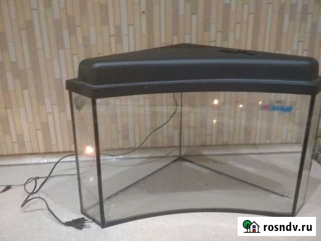 Аквариум Муром - изображение 1