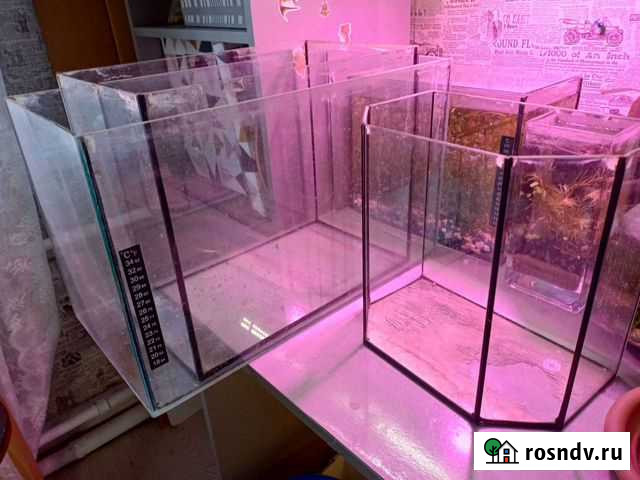 Аквариум Белореченск - изображение 1