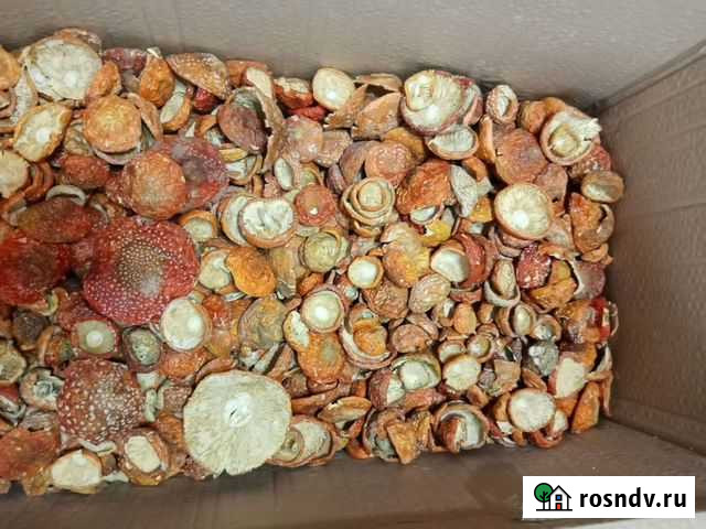 Биодобавки Ростов-на-Дону - изображение 1