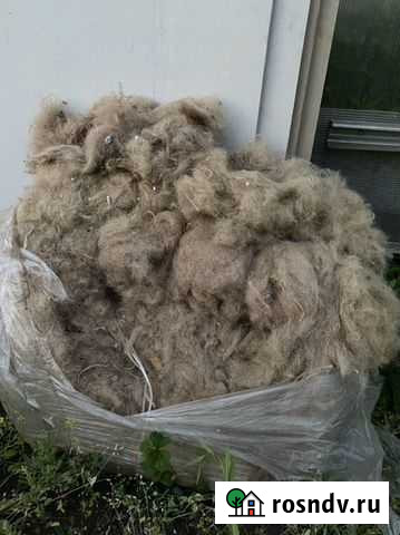 Пакля Братск - изображение 1