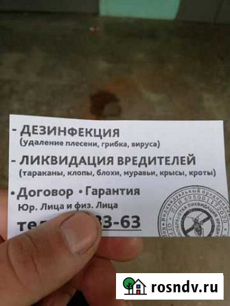 Дезинфекция,ликвидация вредителей Тверь - изображение 1