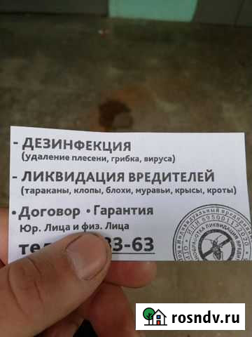 Дезинфекция,ликвидация вредителей Тверь - изображение 1